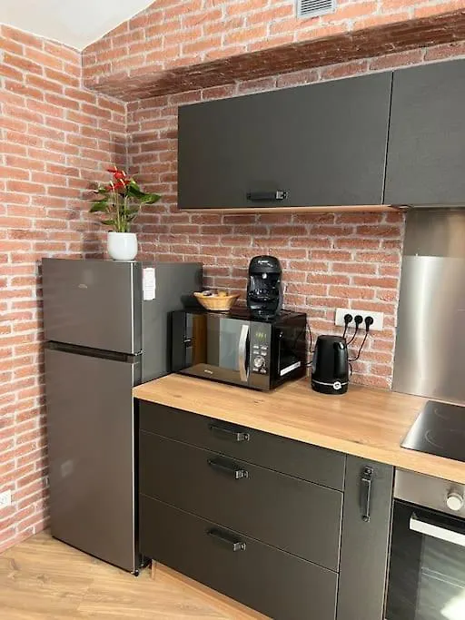Le Gambetta - Spacieux Et Calme - Climatise Montauban Apartment