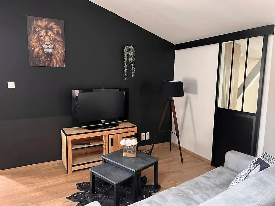Le Gambetta - Spacieux Et Calme - Climatise Montauban Apartment