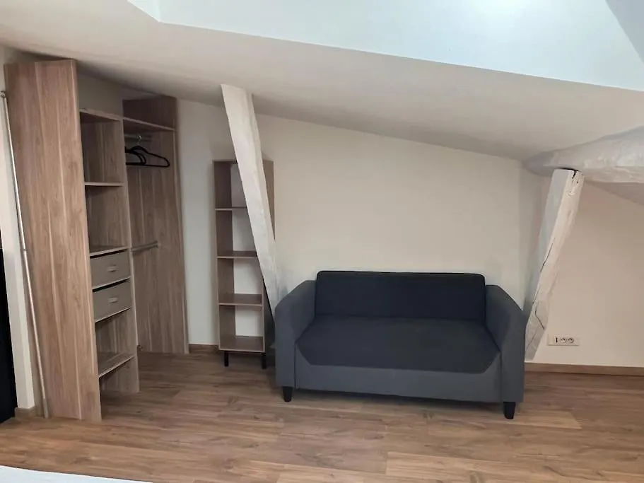 Apartment Le Gambetta - Spacieux Et Calme - Climatise Montauban France