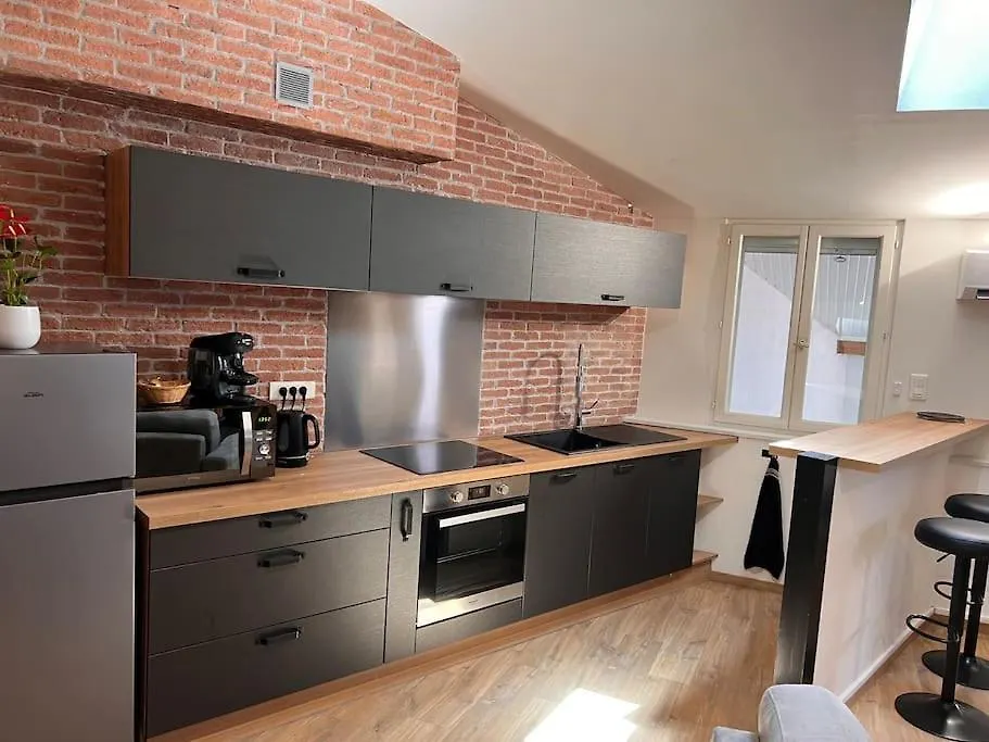 Apartment Le Gambetta - Spacieux Et Calme - Climatise Montauban